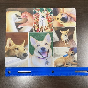 Joyce added a photo of their purchase