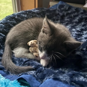 Shelly added a photo of their purchase