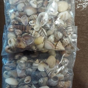 Candy added a photo of their purchase