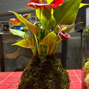 Tiffany added a photo of their purchase