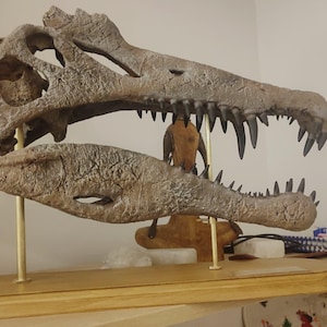 Emre A. added a photo of their purchase