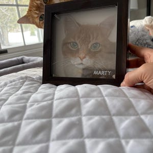 Jillian added a photo of their purchase