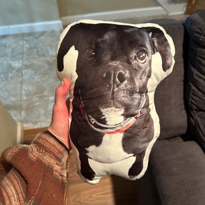 Caitlin added a photo of their purchase