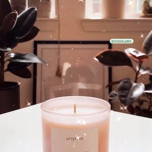 Timmie added a photo of their purchase