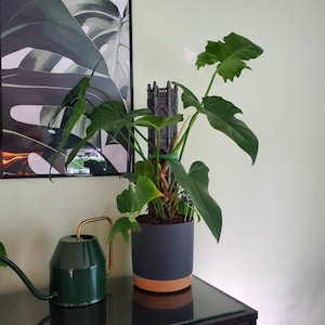 Michelle added a photo of their purchase