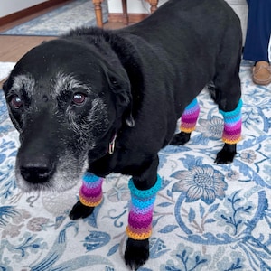 Diane added a photo of their purchase