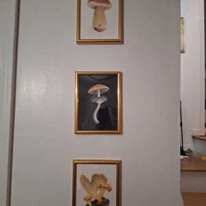 N hat ein Foto des gekauften Artikels hinzugefügt