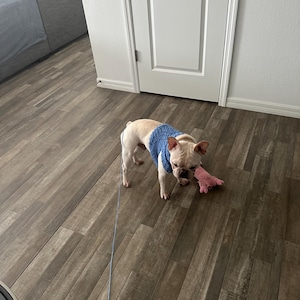 Sheila added a photo of their purchase