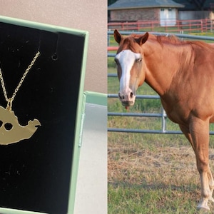 Whitney added a photo of their purchase