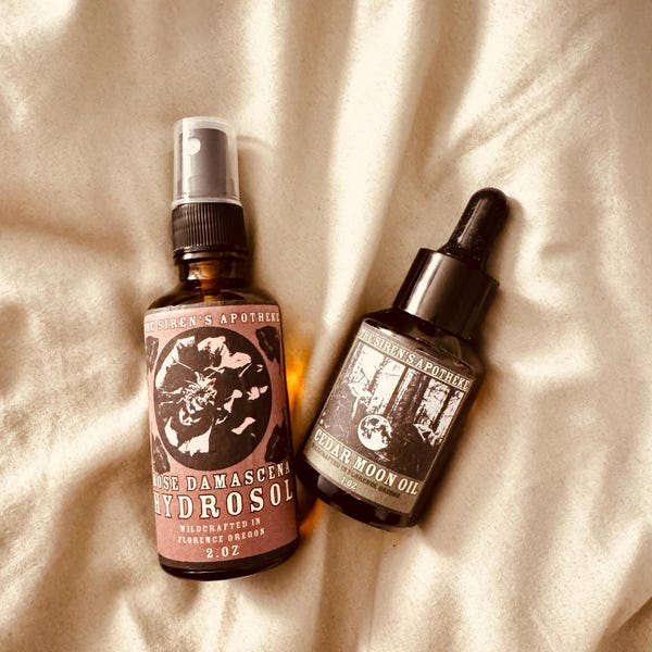 MIDNIGHT CHARCOAL BALM – Impurity Pulling, Acne Spot Treatment ...