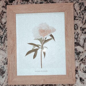kaitlyn added a photo of their purchase