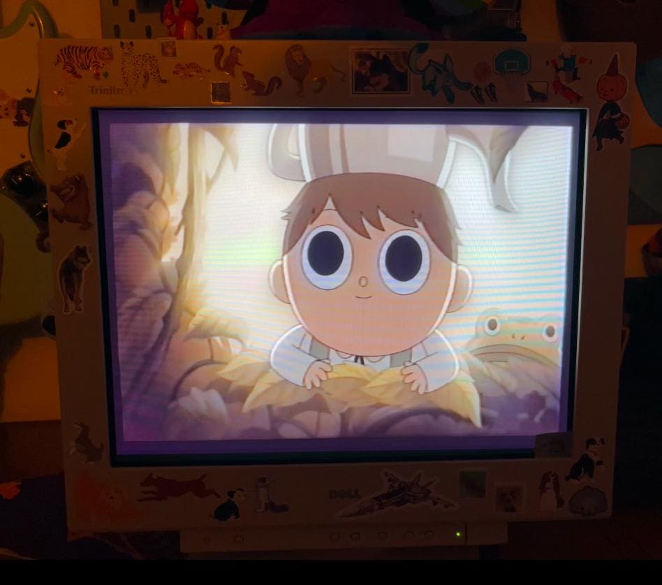 Over The Garden Wall the complete series on VHS!!