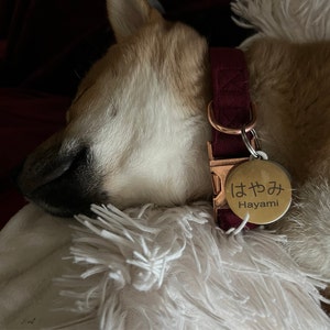 Janay added a photo of their purchase