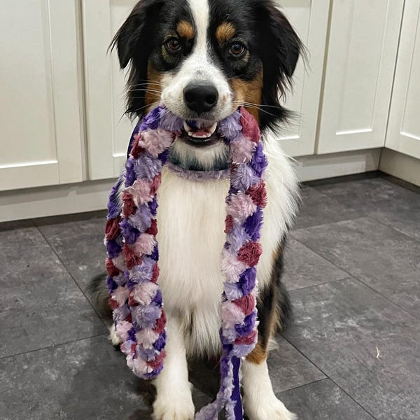 Custom Ribbon Display, Dog Award Ribbon Display Rack, Dog Rosette ...