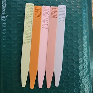 Madi added a photo of their purchase