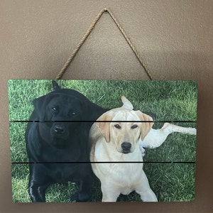 Tammy added a photo of their purchase