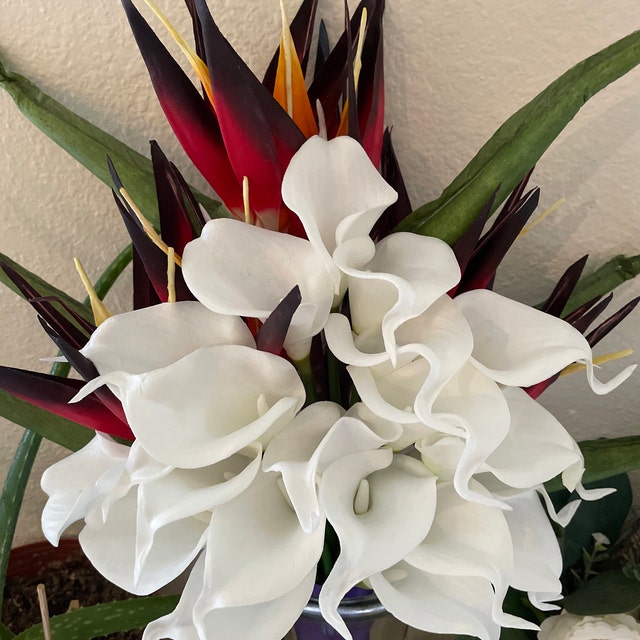Black And White Ivory Bouquet Bouquets by Bird of Paradise OS