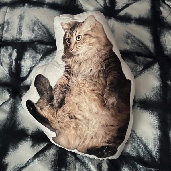 We're Trouble Makers - Cat Personalized Custom Shaped Pillow - Gift For Pet Owners, Pet Lovers