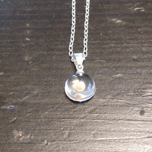 Rachel added a photo of their purchase