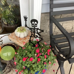susan added a photo of their purchase