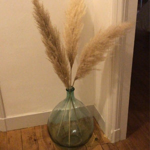 Anaïs ha aggiunto una foto del proprio acquisto