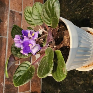 Barbara added a photo of their purchase