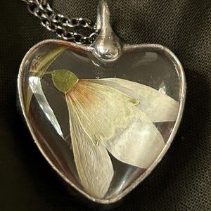 Claire added a photo of their purchase
