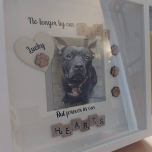 Jen added a photo of their purchase