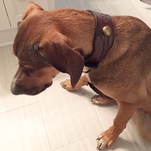 Carrie added a photo of their purchase