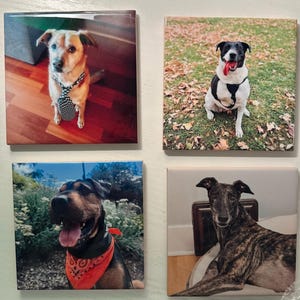 kelly added a photo of their purchase