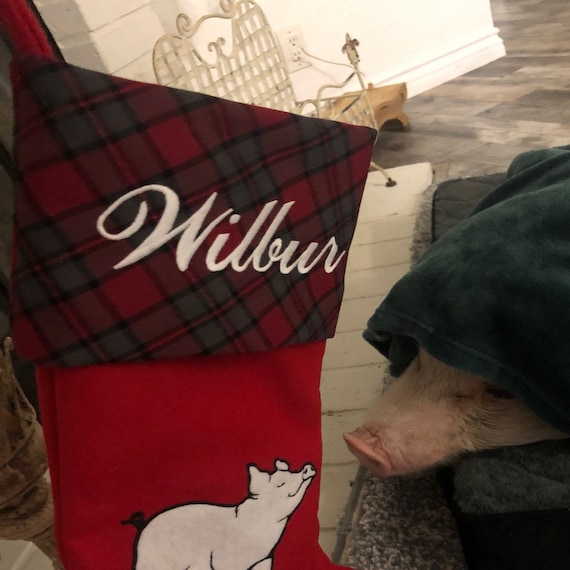 Customer photo of a pet with the Pig Christmas Stocking