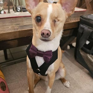 Debra dodał(a) zdjęcie swoich zakupów