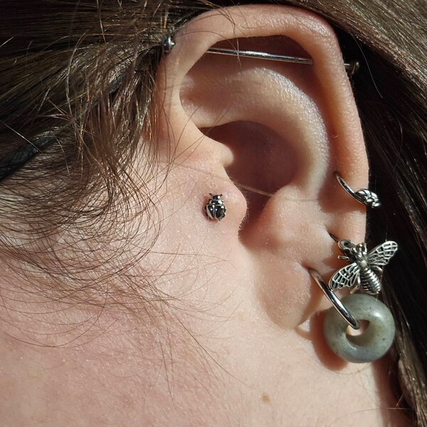 Dainty Beetle Threadless Flat Back Earring, 20,18,16ga, 5-10mm, Unisex ...