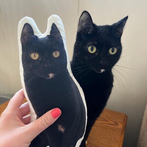allison heeft een foto van de aankoop toegevoegd