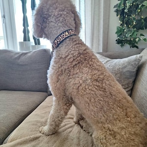 Debbie added a photo of their purchase