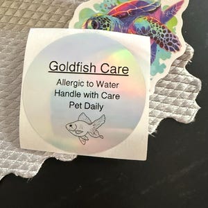 Anne added a photo of their purchase