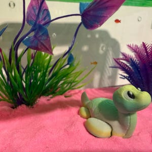 Sarah added a photo of their purchase