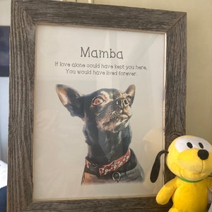 Nubia added a photo of their purchase