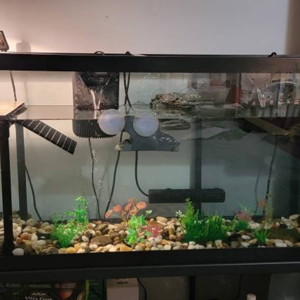 Photo inspiration: Tank Topper Turtle Dock Sits On Top Of Your Aquarium Photo Inspiration