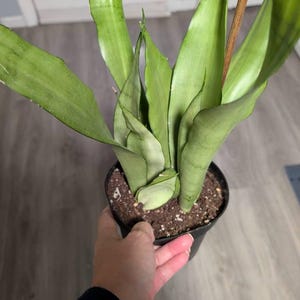Debra added a photo of their purchase