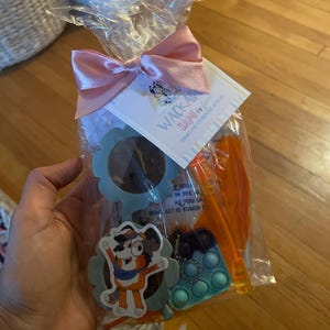 Bluey Goodie Bag Party Favors, Bluey Goodie Bag, Custom Frozen Party Favor, Frozen Party Decor, Kids Bluey Party Bag Party Favor, Gift Bag