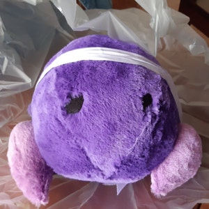 Mariana added a photo of their purchase