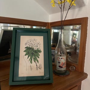 erika ha aggiunto una foto del proprio acquisto