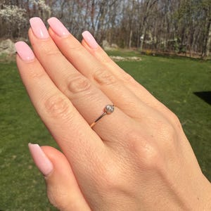 Shea added a photo of their purchase