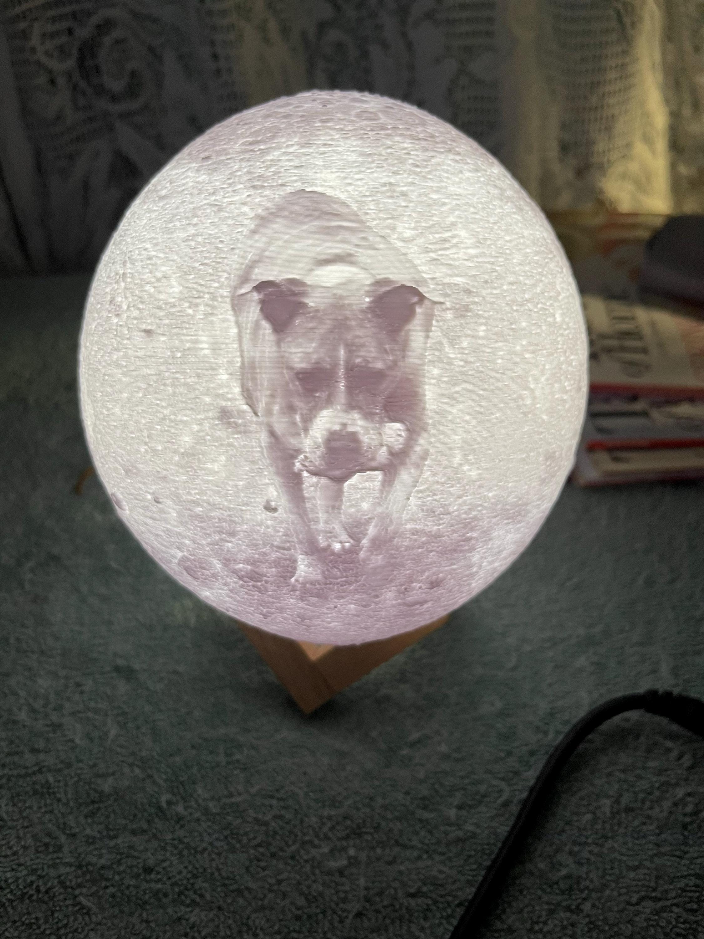 Personalized 3d Photo printed Lunar night Moon Lamp, Custom Photo Lunar Moon Lamp Night Light, Bedside lamp, Couples Gifts,Christmas Gift