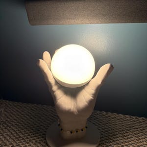 Joe added a photo of their purchase