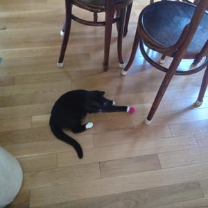 Greer added a photo of their purchase