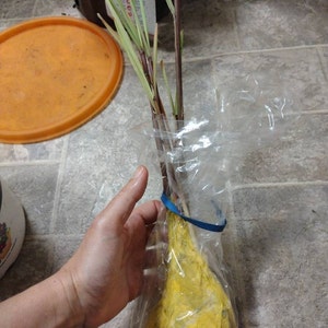 Lynda added a photo of their purchase