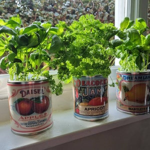 Katie dodał(a) zdjęcie swoich zakupów