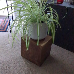 Sara added a photo of their purchase